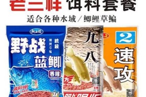 野战蓝鲫加疯钓鲫的绝技（掌握关键技巧）