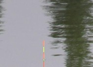 钓鱼调漂的正确方法和技巧是什么？如何提高钓鱼效率？