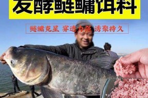 钓鱼技巧大头鲢，捕捉巨型美味！（掌握钓鱼技巧，让大头鲢上钩不再是梦想！）