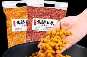 制作发酵鱼饵的技巧（提高钓鱼成功率的绝佳利器）