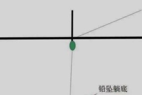 如何快速掌握钓鱼调漂技巧？最简单方法是什么？