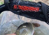 河中钓鱼小技巧有哪些？如何提高钓鱼成功率？