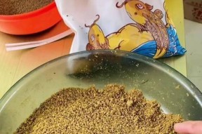搭配鱼饵的技巧教学？如何根据鱼种选择合适的鱼饵？