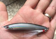 浮水铅笔钓翘嘴技巧手法有哪些？如何提高钓翘嘴的成功率？