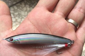 浮水铅笔钓翘嘴技巧手法有哪些？如何提高钓翘嘴的成功率？