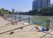 珠三角秋冬钓鱼技巧（探秘珠三角秋冬江边钓鱼的技巧与乐趣）
