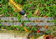 浮水钓鲤鱼的绝招技巧是什么？如何提高钓鲤鱼的成功率？