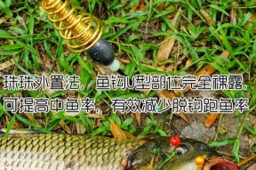 浮水钓鲤鱼的绝招技巧是什么？如何提高钓鲤鱼的成功率？
