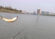 河里钓鱼如何找到最佳位置？有哪些技巧可以提高成功率？
