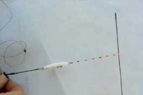 垂钓技巧和调漂方法有哪些？如何提高钓鱼成功率？