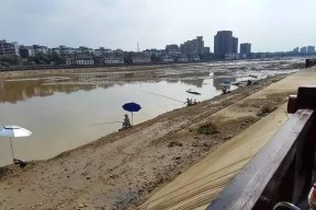 探秘河道水闸出水口的钓鱼技巧（钓鱼达人分享）