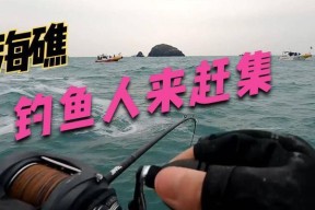 海礁沉底钓鱼技巧（探秘海底世界）