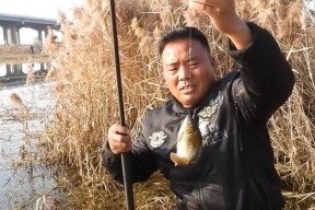 不用竿子钓鱼技巧简单一点？如何轻松掌握无竿钓鱼法？