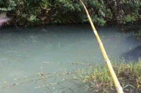 南方雨水节气下的钓鱼技巧（雨水钓鱼）
