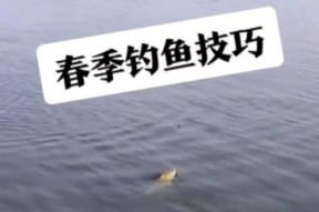 掌握钓鱼的生活方式与技巧（享受钓鱼乐趣，成为钓鱼高手）