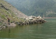 汉源湖钓鱼技巧大揭秘（掌握这些技巧）