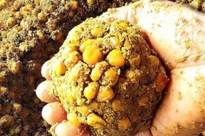如何正确使用钓鱼玉米棒打窝？打窝技巧有哪些常见问题？