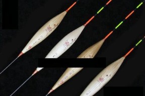 钓鱼新手看漂技巧？如何正确解读浮漂信号？