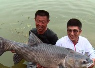 黑坑钓鱼技巧最佳配方是什么？如何提升钓鱼成功率？