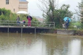 雨天池塘钓鱼的三个小技巧（掌握这三招）
