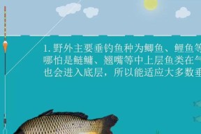 如何掌握钓鱼调漂调平水的技巧？常见问题有哪些？
