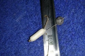 如何提高钓鱼钓虾子的技巧和方法？