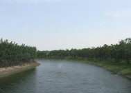 伏尔加河流域钓鱼技巧有哪些？如何提高钓鱼成功率？
