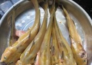芙蓉江钓鱼技巧和方法有哪些？如何提高钓鱼成功率？
