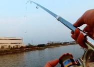 河流挂底钓鱼的技巧是什么？如何有效避免挂底？