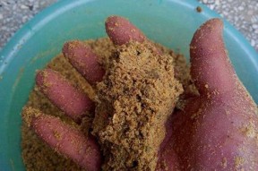玉米白面钓鱼的技巧与方法（优秀饵料的制作与使用）