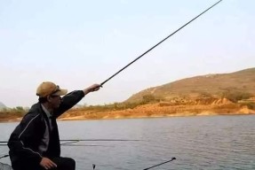 出水口浅水钓鱼技巧有哪些？如何提高钓鱼成功率？