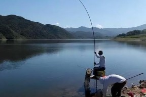 夏天钓鱼技巧与细节（享受夏日钓鱼的乐趣）