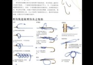 揭秘反向钓鱼（反向钓鱼技巧与方法）