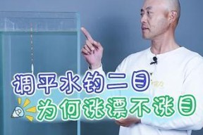 如何掌握钓鱼调平水钓二目技巧？常见问题有哪些？