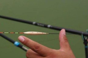 如何精准找到钓鱼中的顿口？调漂有哪些技巧？