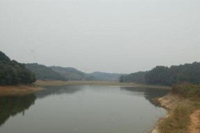 玛瑙山水库钓鱼技巧（探索玛瑙山水库的丰富鱼类资源）