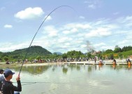 河南温县野钓钓点选择技巧是什么？如何找到最佳钓点？