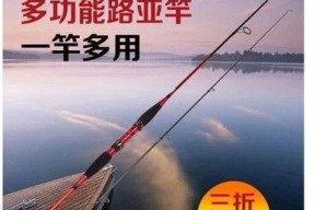 钓鱼技巧之抬竿与抛竿的区别（解析抬竿与抛竿技巧，助力钓鱼高手成长）