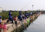 浮莲水域钓鱼技巧有哪些？如何提高钓鱼成功率？