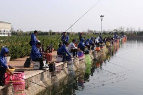 浮莲水域钓鱼技巧有哪些？如何提高钓鱼成功率？