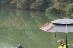 桑涧水库钓鱼技巧教程（提升钓鱼技术）