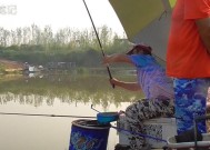 肥水黑坑钓鱼技巧教学？如何提高钓获率？