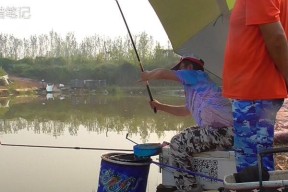 肥水黑坑钓鱼技巧教学？如何提高钓获率？