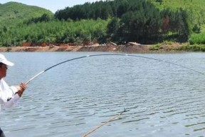 花亭湖水库钓鱼技巧（钓鱼技巧）