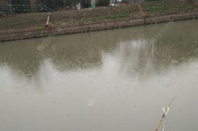 冬季雨天钓鱼技巧及方法教程？如何在雨天提高钓鱼成功率？