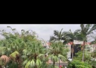 纯水岸钓鱼技巧与方法（提高成功率的关键是选对鱼饵和掌握钓法）