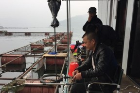 如何掌握水库钓鱼技巧？使用筏杆钓鱼有哪些要点？