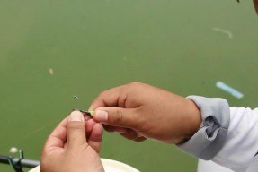 钓鱼调漂的技巧小有哪些？如何快速掌握？