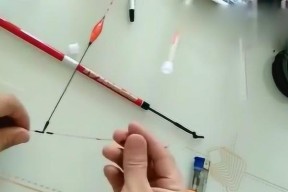 钓鱼新手必学十个技巧？如何快速成为垂钓高手？