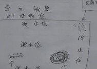 黑坑钓鱼方法和技巧有哪些？如何提高钓鱼成功率？